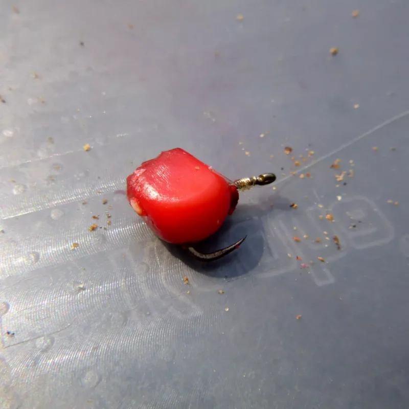 roter Mais als Schleienköder