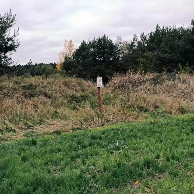 Schild am Wald mit schwarzer Hand