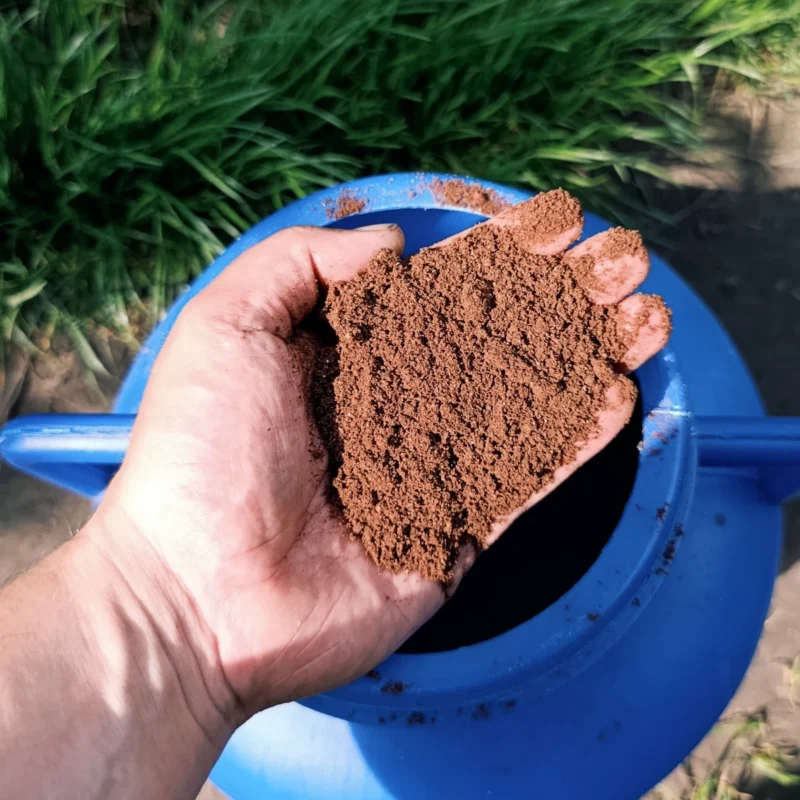altes Schokobiskuitmehl in der Hand