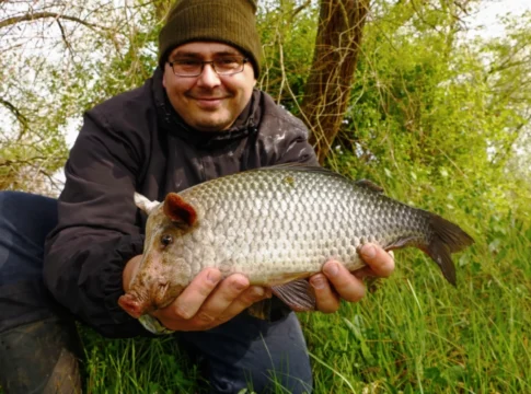 Schweinsgrabenkarpfen