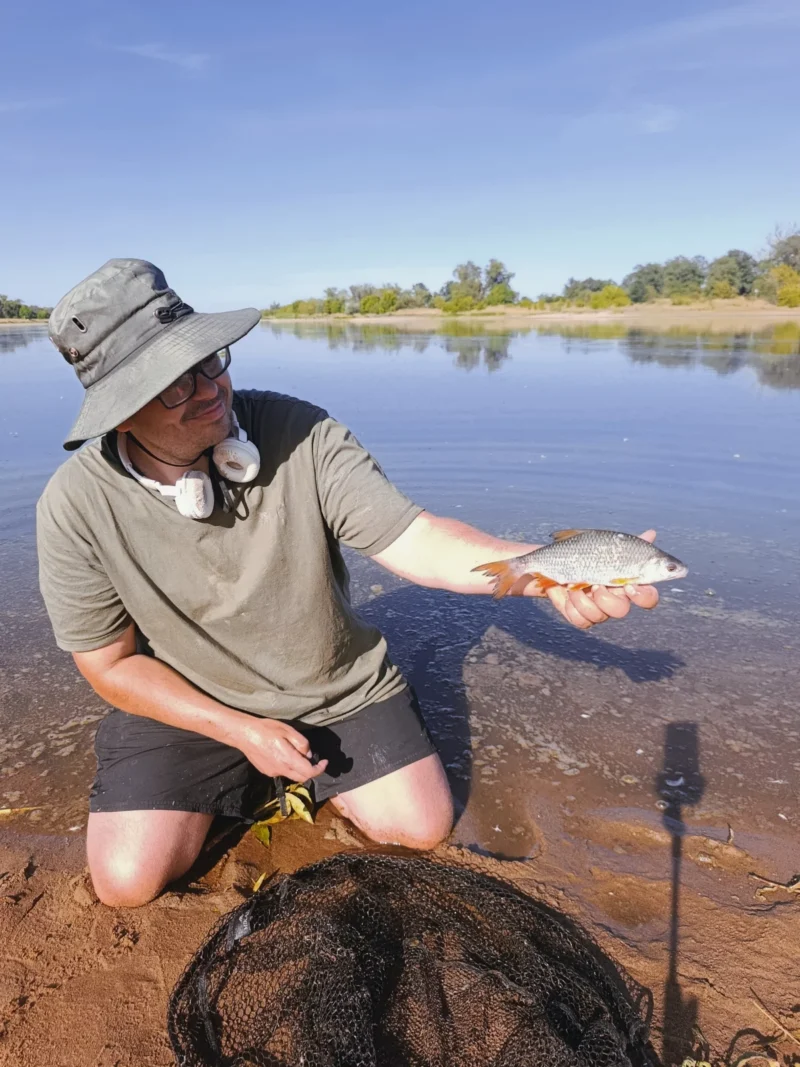 Sonubaits Bait Spray Testtag: Rotauge vom Feedern an Elbe