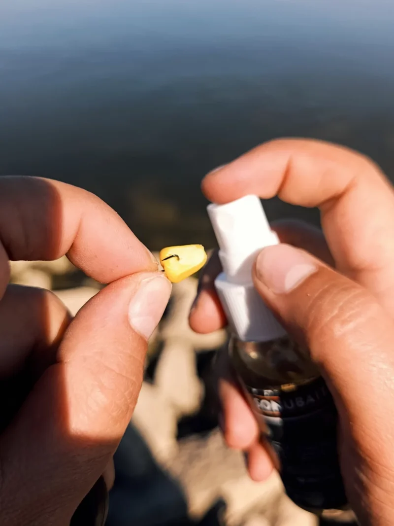 Mais wird mit Sonubaits Bait Spray Lockstoff besprüht