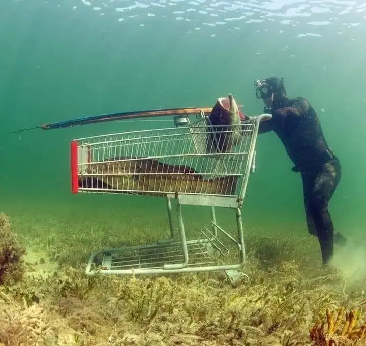 Speerfischer schiebt Einkaufskorb Unterwasser