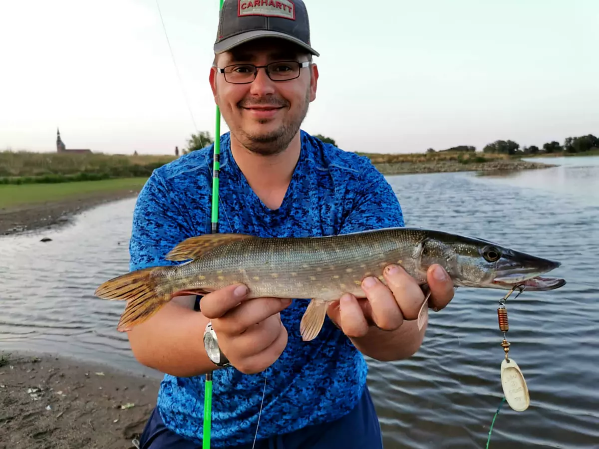 Raubfisch hat auf Spinner nach Beißflaute gebissen