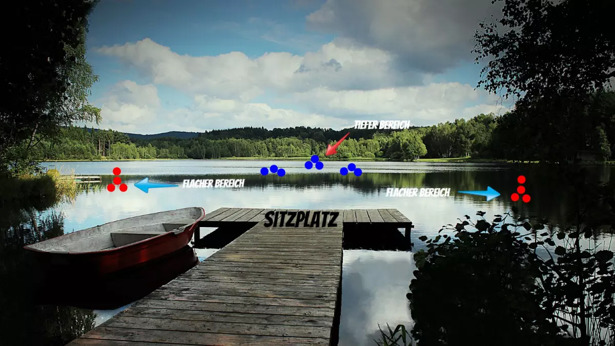 Stellenwahl beim Feederfischen im Frühling