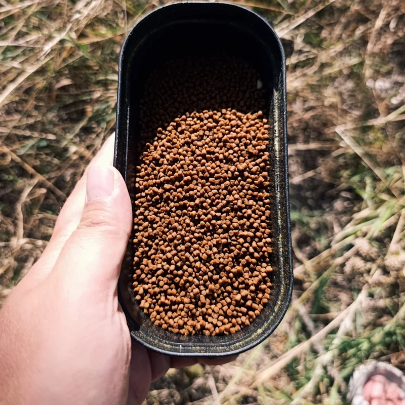 Dynamite Baits F1 2mm Micro Pellets beim Sternnudelnangeln