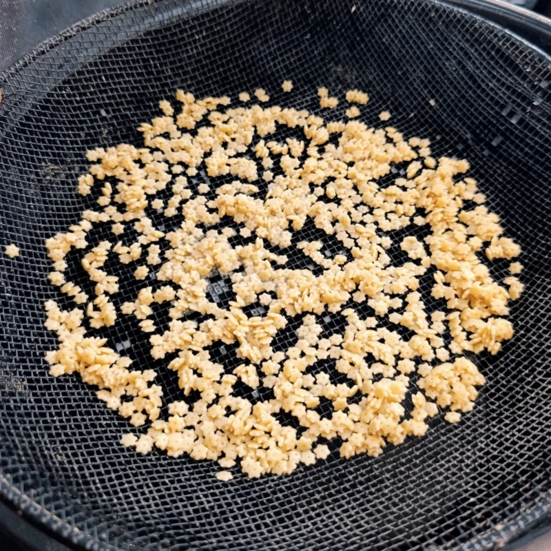 Sternnudeln tropfen auf einem Futtersieb ab