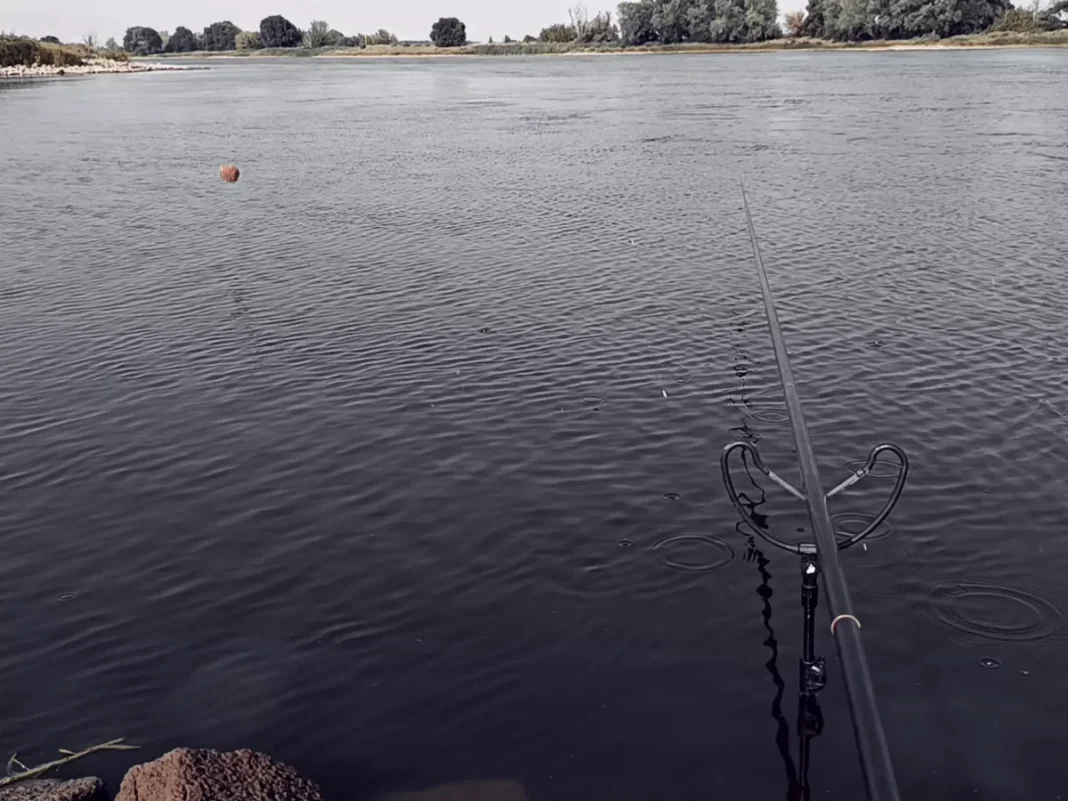 Stippangeln im Buhnenfeld an der Elbe