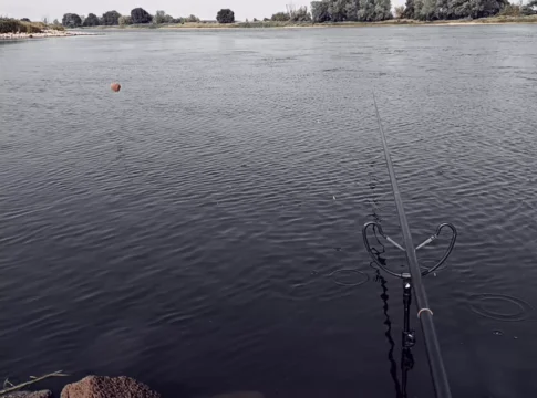 Stippangeln im Buhnenfeld an der Elbe