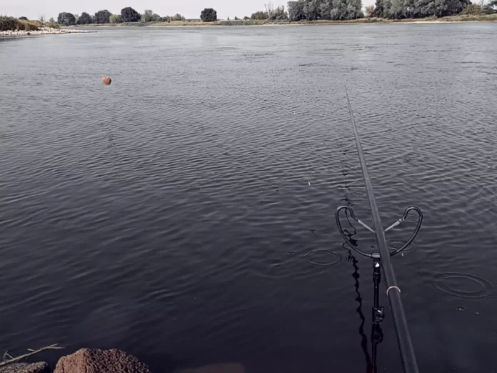 Stippangeln im Buhnenfeld an der Elbe