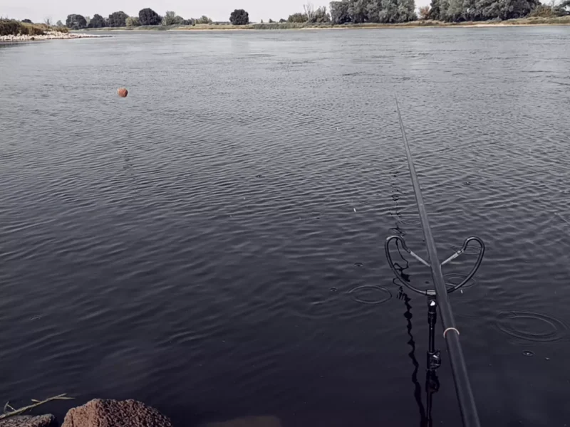 Stippangeln im Buhnenfeld an der Elbe