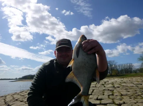 Stippen im Frühjahr