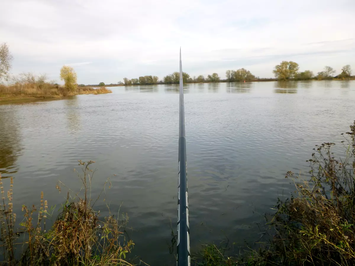 Stipprute am Buhnenfeld beim Herbstangeln