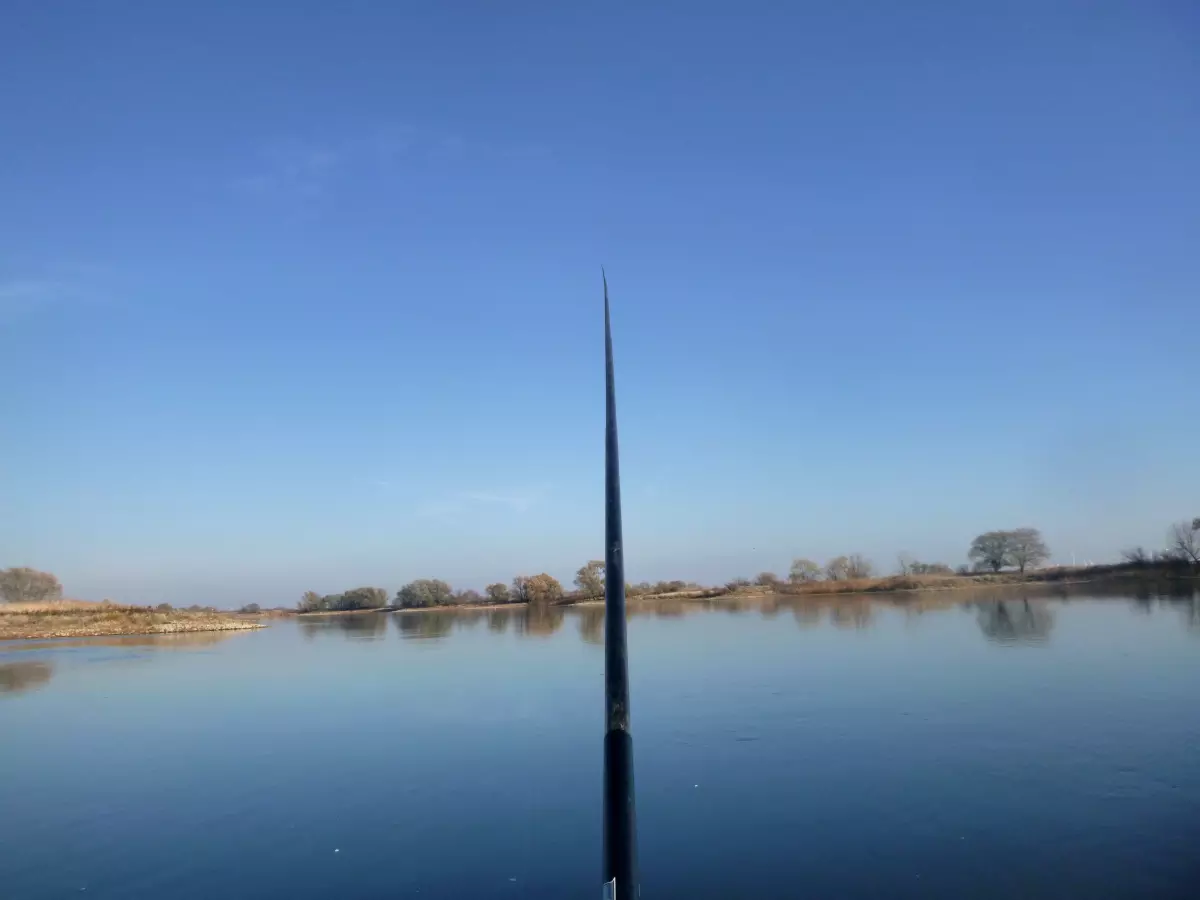 Stipprute zum Stippen am Fluss im Frühling