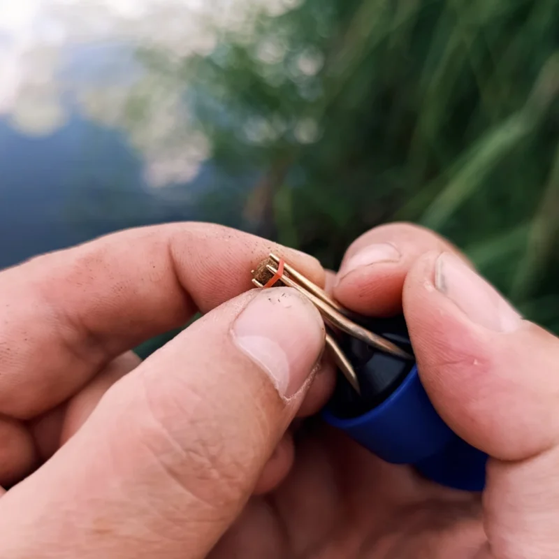 Pellet mit dem Bait Band vorsichtig von der Pelletzange herunterziehen
