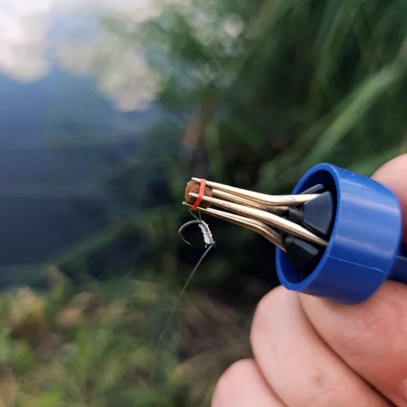 Pellet in das Bait Band in der Pelletzange hineinschieben