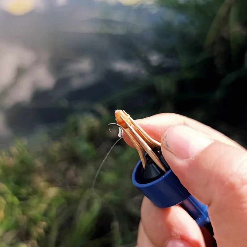 Weizen im Method Feeder Bait Band
