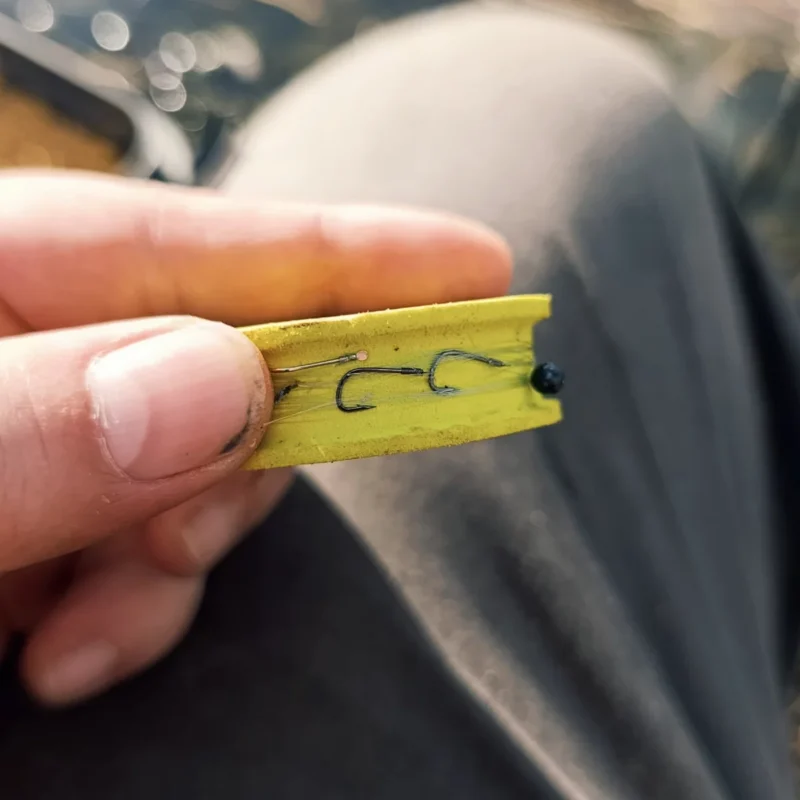 Feederhaken für Teichrotaugen