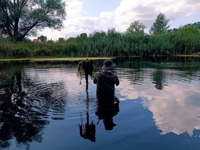 Kraut am Teich freihaken