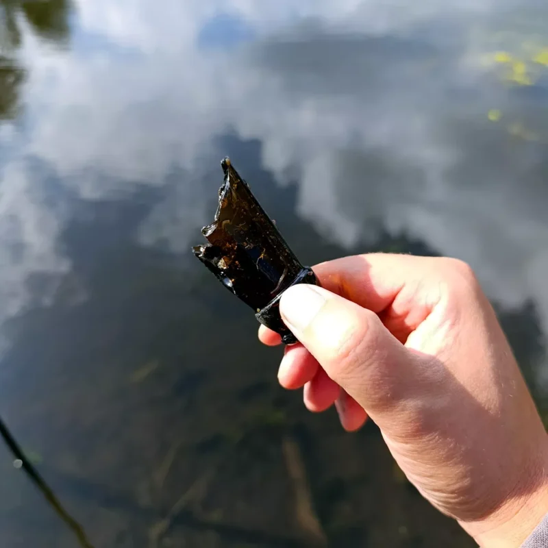 Glas am Ufer vom Teich