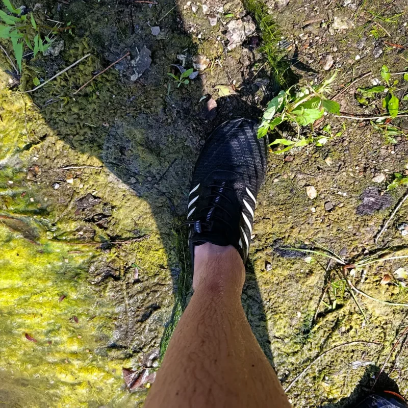 Wasserschuhe von einem Angler beim Freiharken von Kraut am Teich