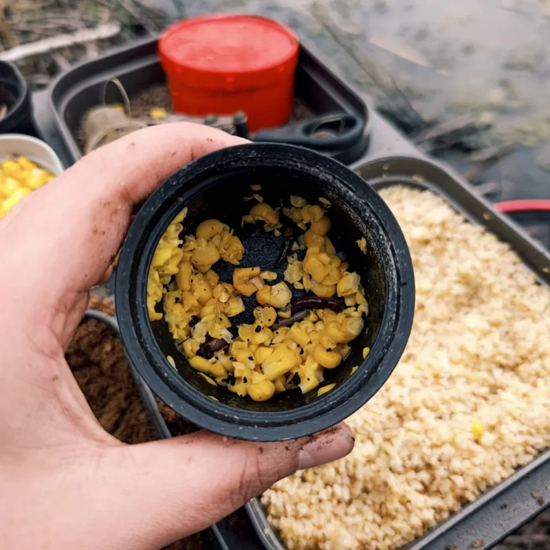 geschnittener Mais mit Wurm in einem Thermoskannendeckel