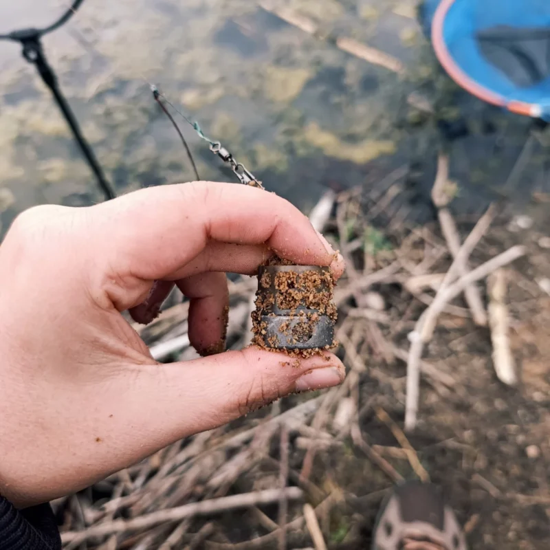 Minifutterkorb für Rotaugen im Herbst