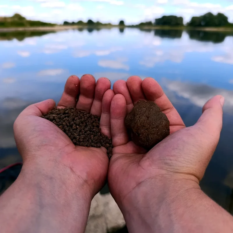 Weizenpellets als Zutaten für einen Angelteig 