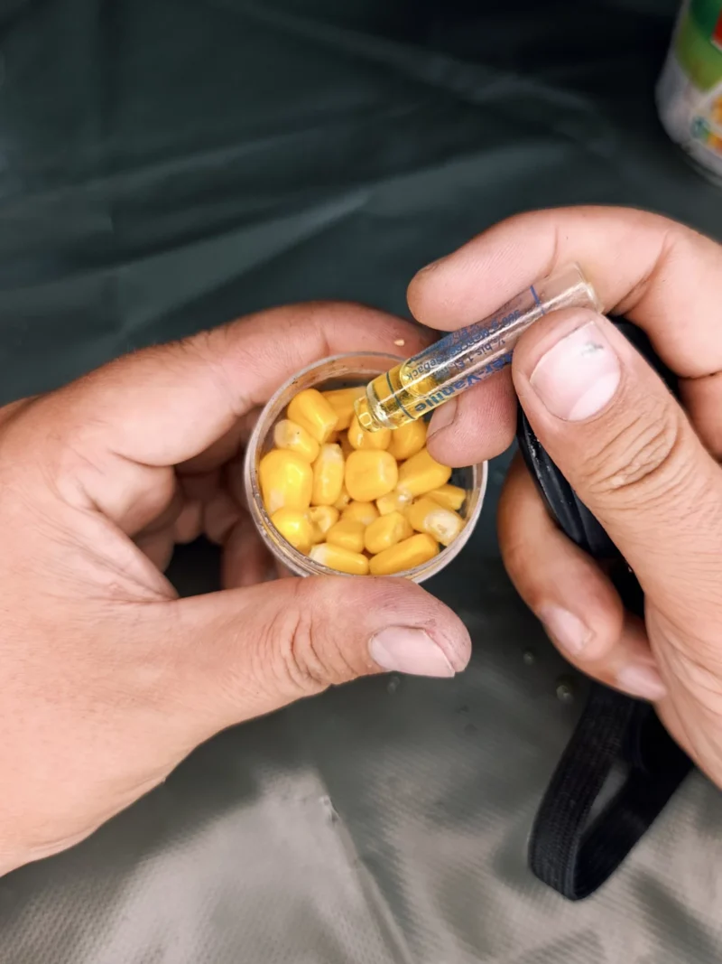 Dosierung; ein paar Tropfen aus der Butter Vanille Ampulle werden der kleinen Maisdose hinzugefügt