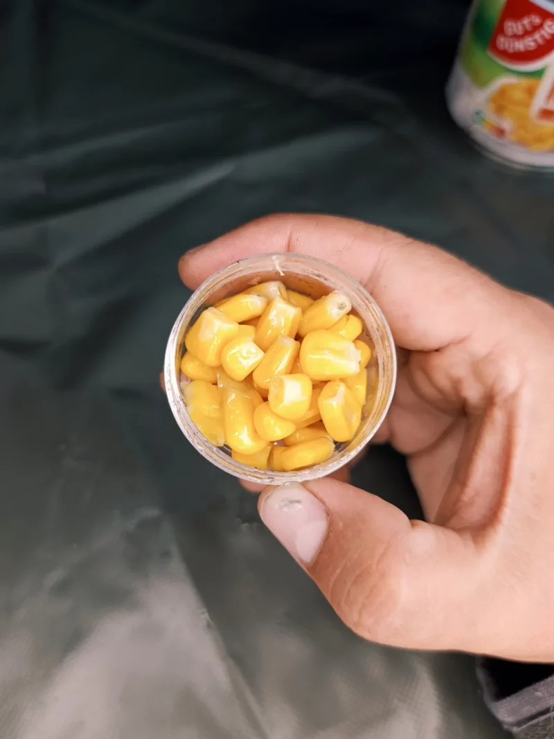 kleine Dose Vanille Mais als Köder fürs Method Feedern
