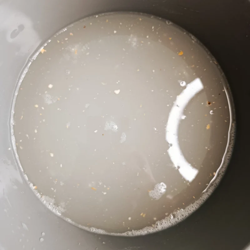 Fermentiertes Maiswasser (CLS)