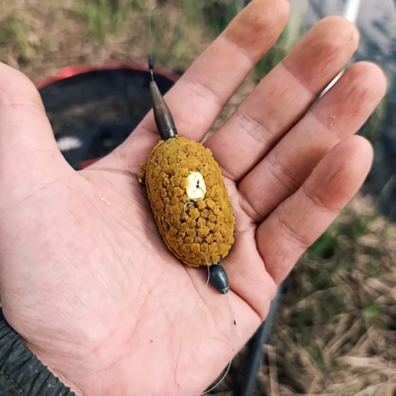Hartmais als Köder auf einem Method Feeder zwischen Micro Pellets