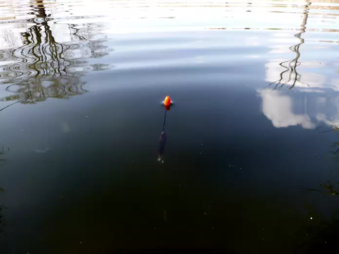 ausgebleiter Waggler im Teich