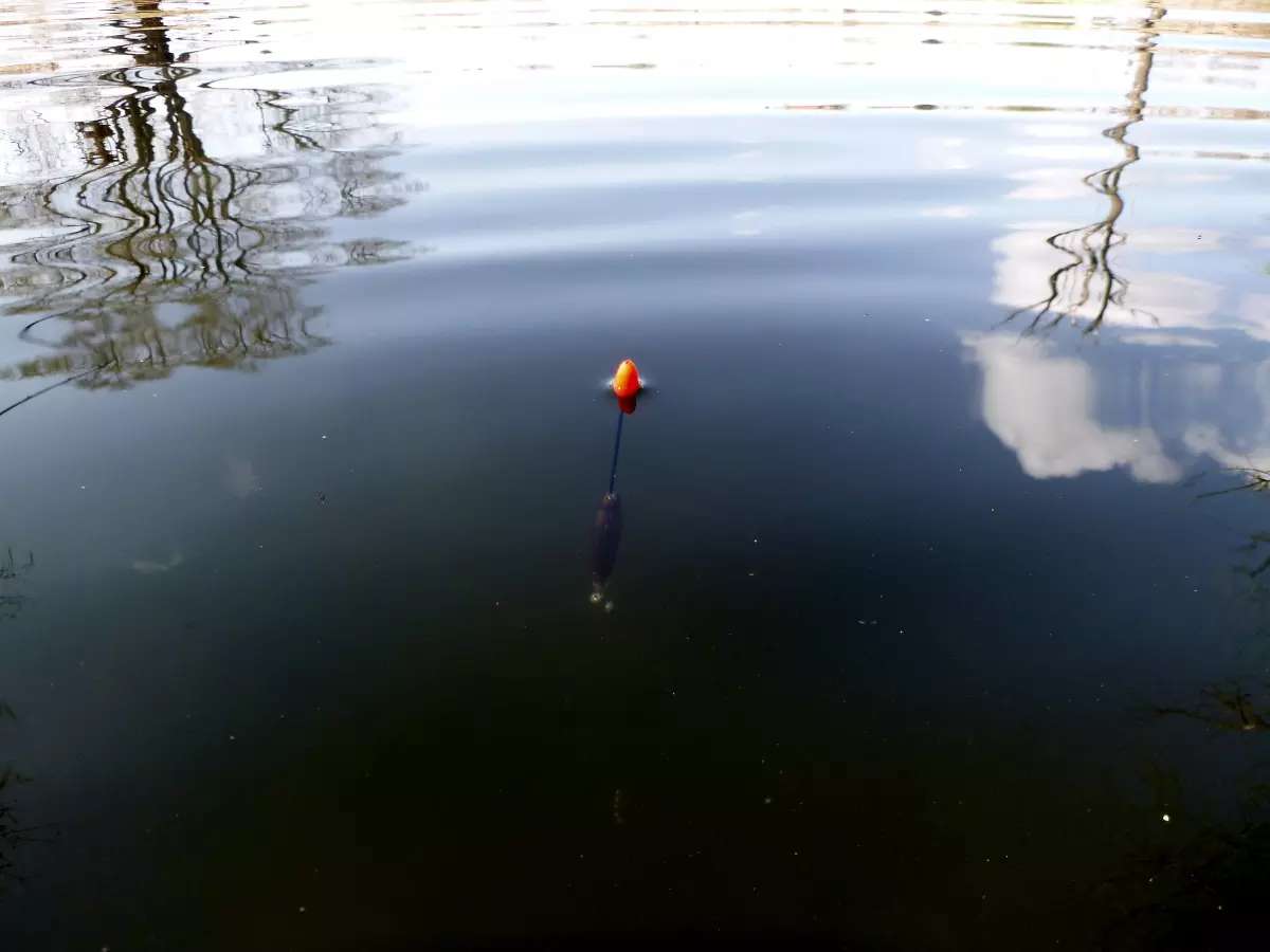 ausgebleiter Waggler im Teich