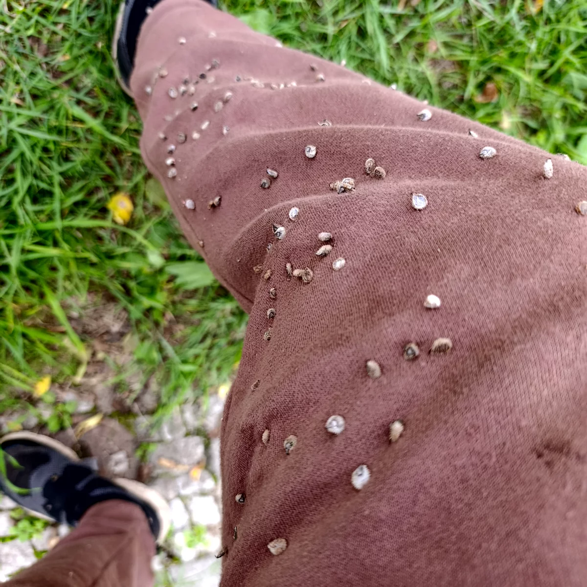 Wandern im Oktober mit Hose voller Kletten