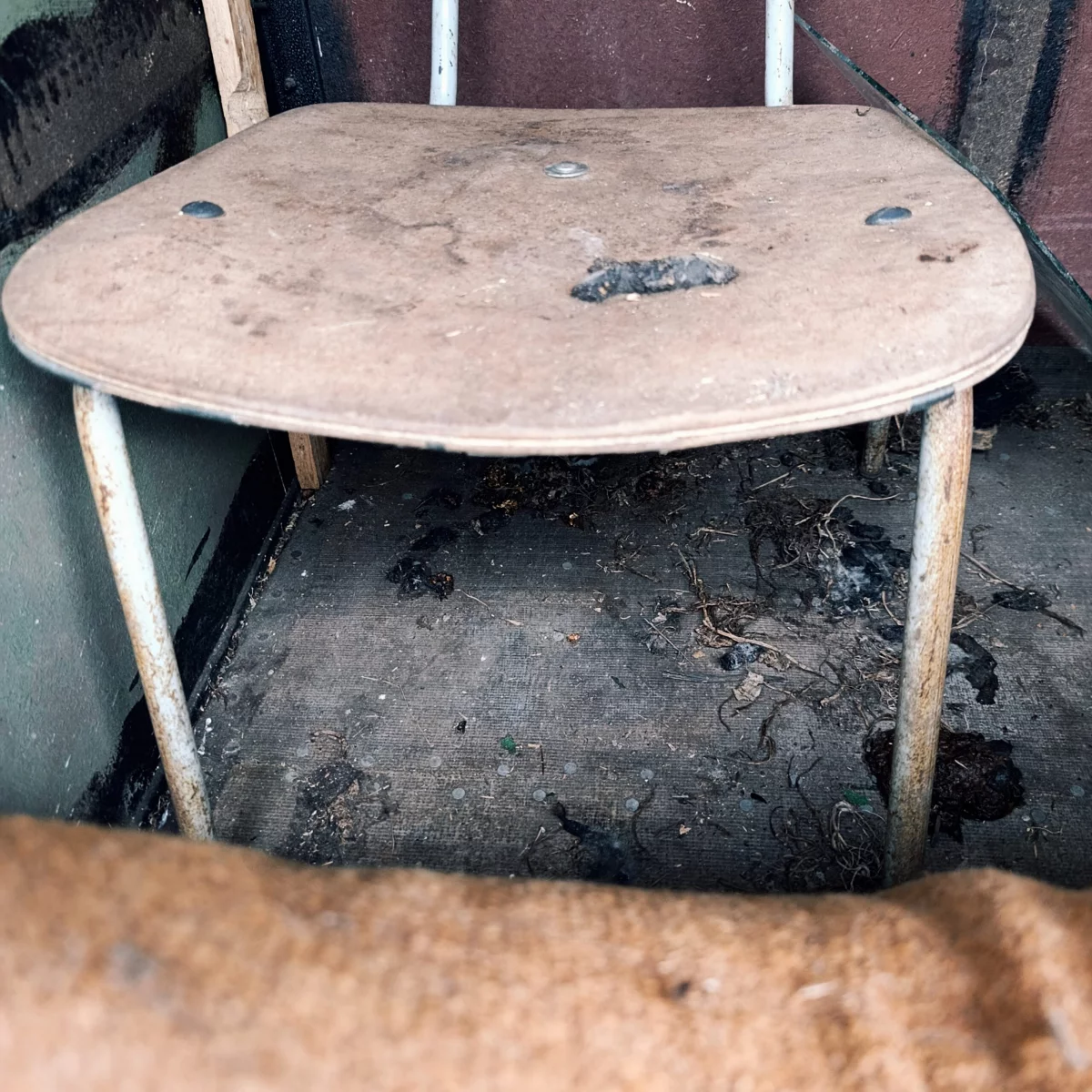 Stuhl in der Kanzel und reichlich Tierkot