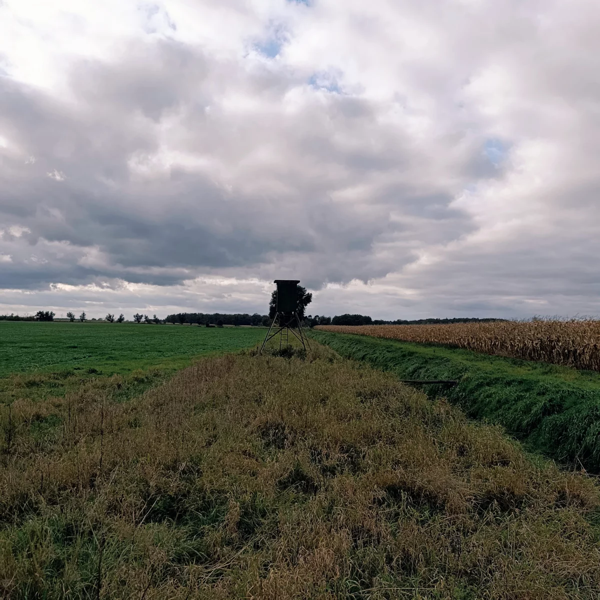 Kanzel aus Metall an einem Feld mit Graben