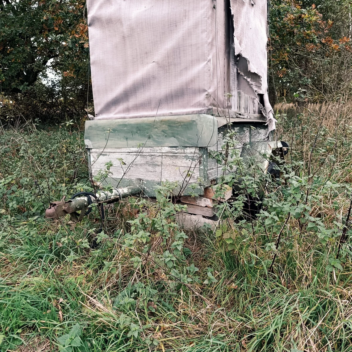Kanzel aufgebaut auf einem Anhänger am Wald