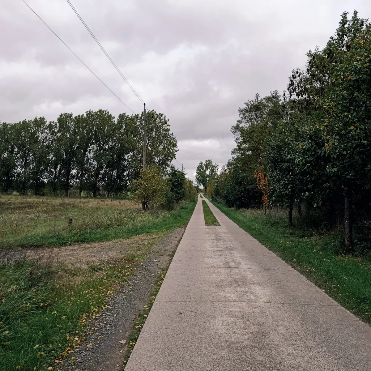 Plattenweg inmitten der Landschaft