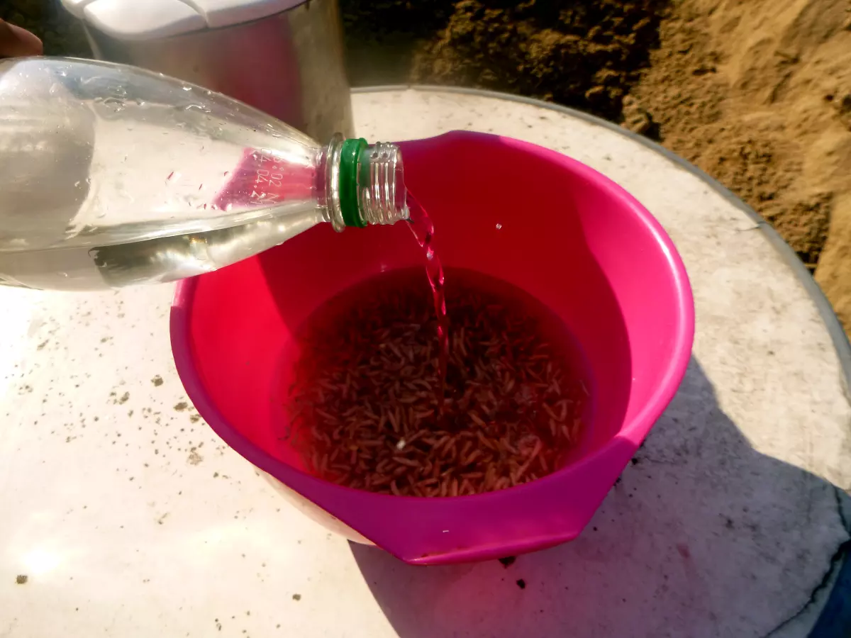 Gefäß mit Wasser für das Herstellen von toten Maden