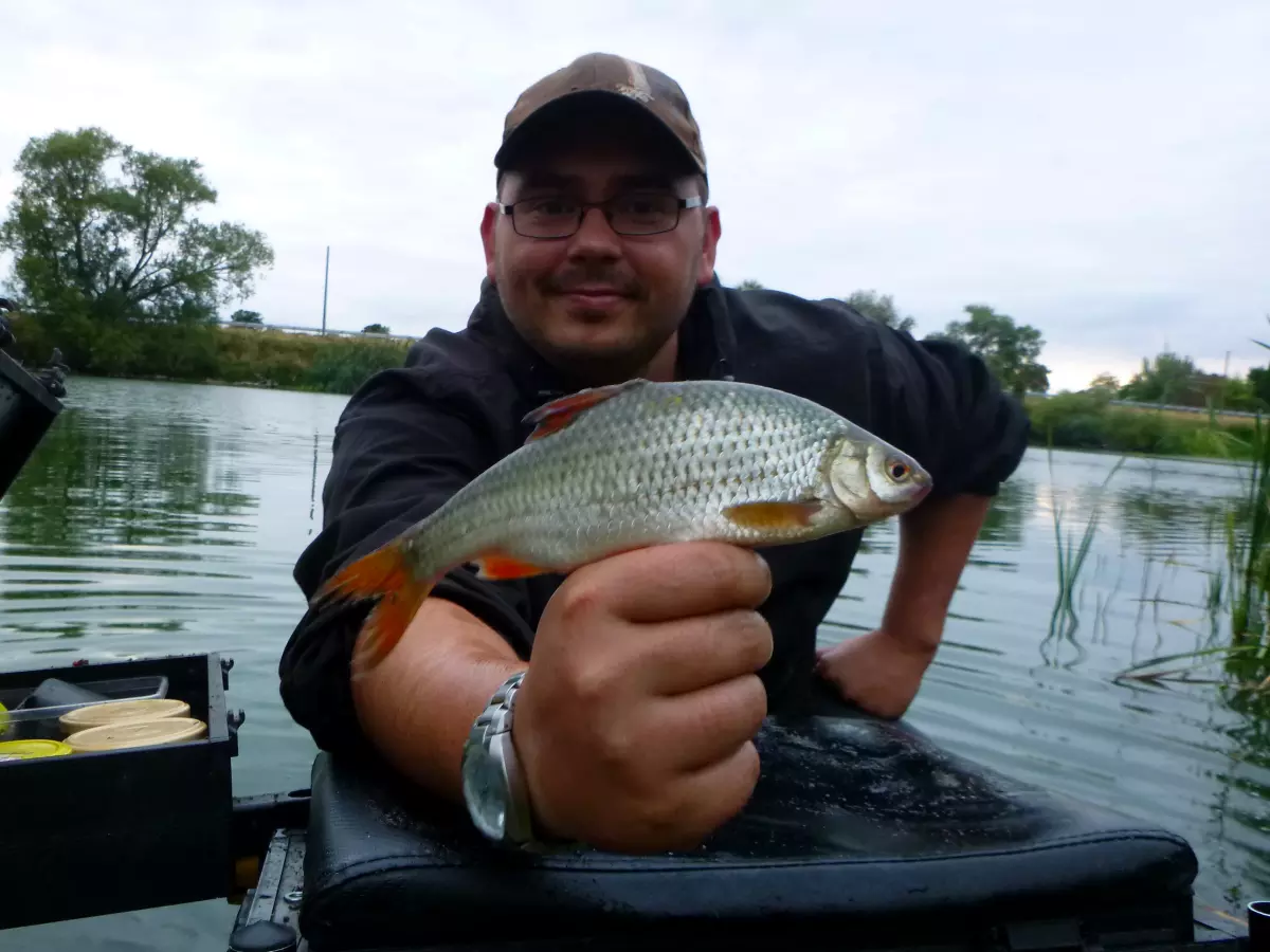 Angler beim Weißfischangeln