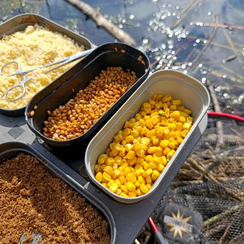 Weizen Mais als Köder Kombination