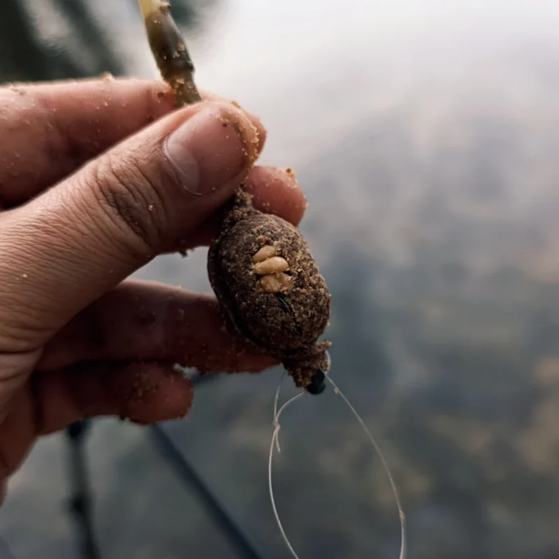 Method Feeder mit Weizenkette