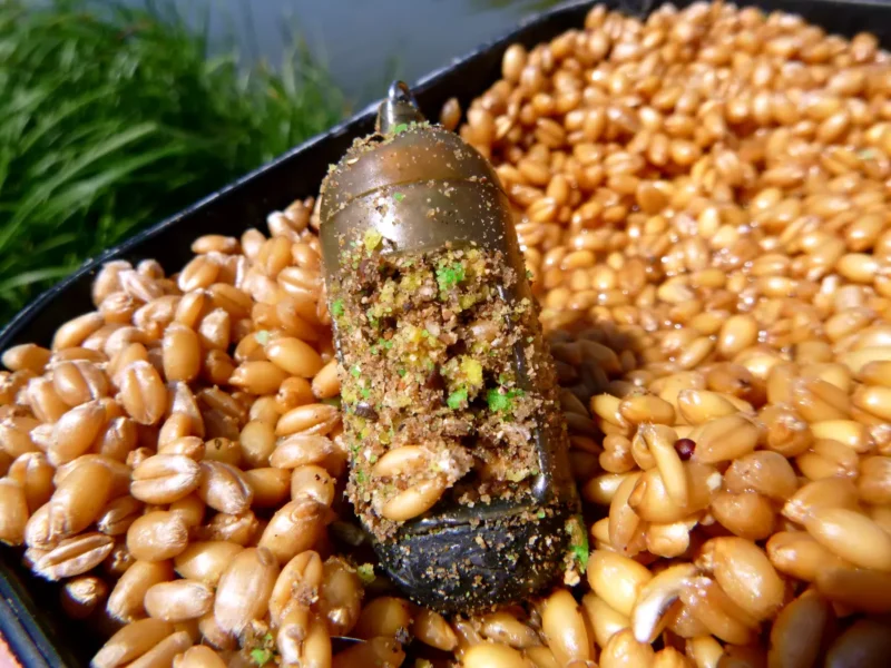 Weizenköder im Futterkorb