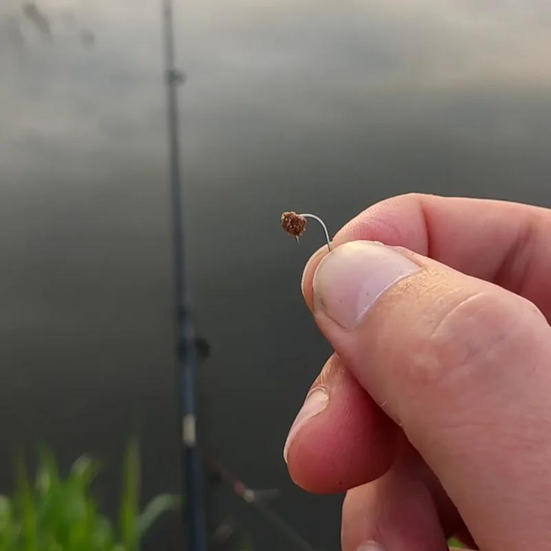Weizenpellet am Haken