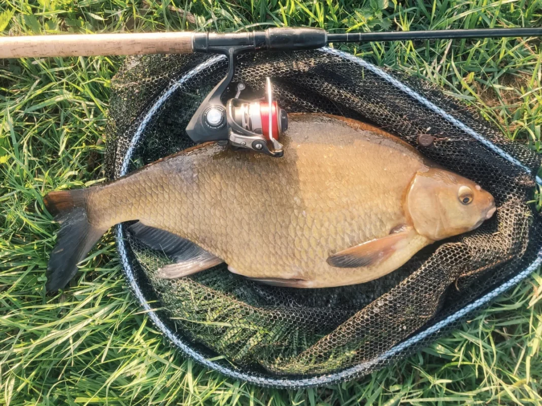 Winkelpickern im April