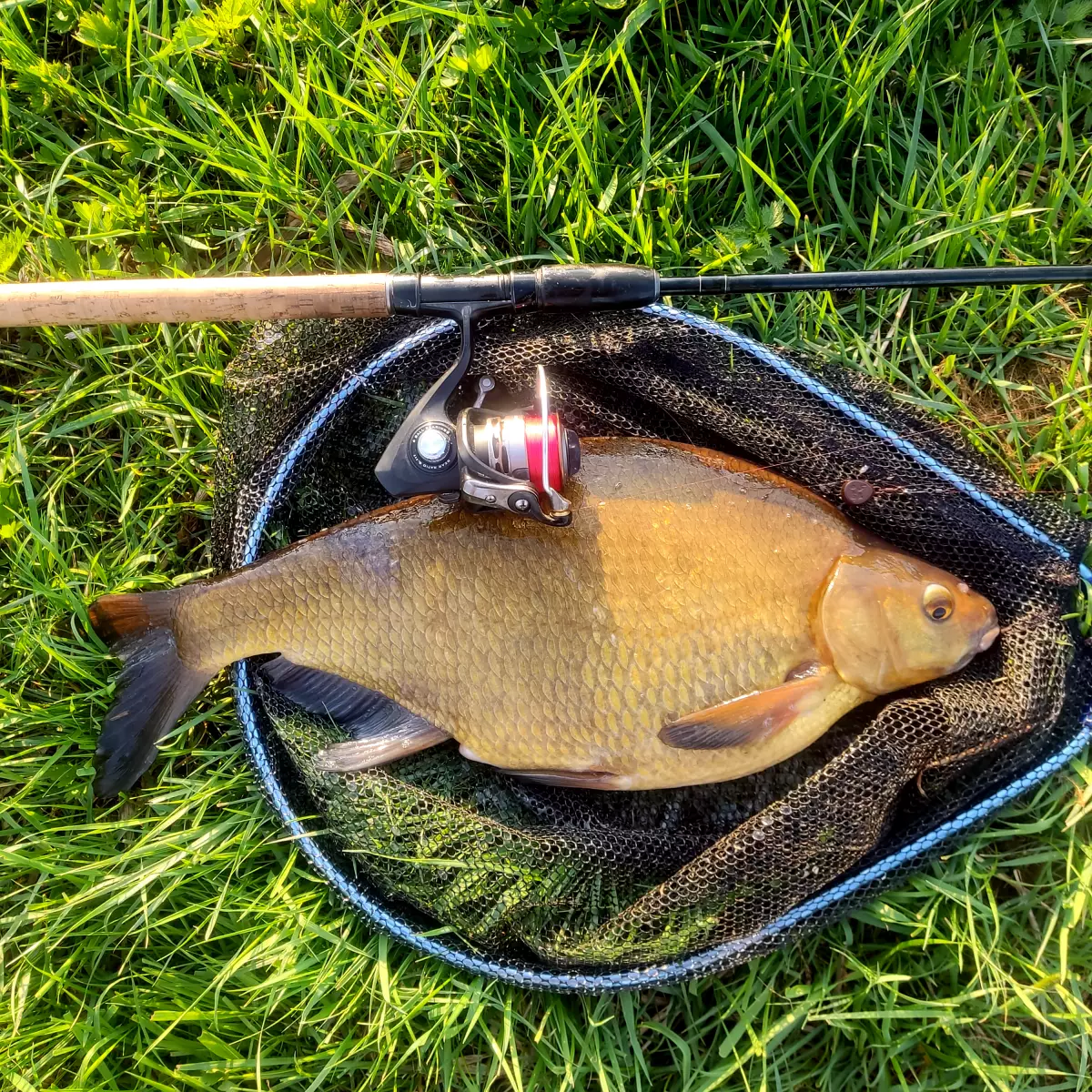 Winkelpickern im April