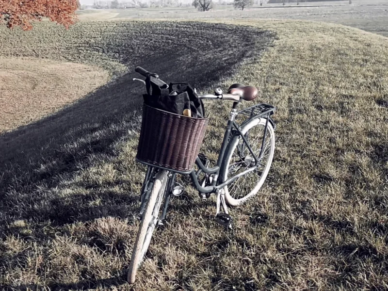 Fahrrad auf einem Deich