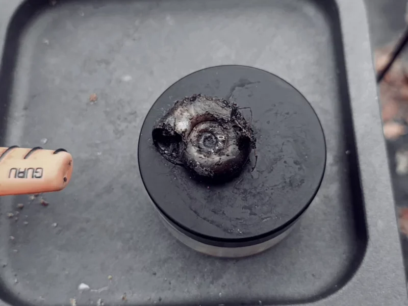 Wasserschnecke vom Deichteich