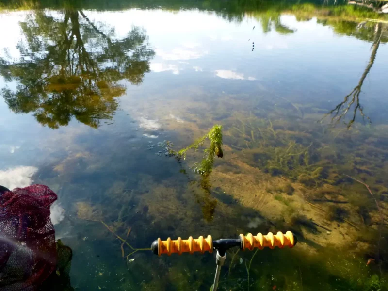 Winkelpickern mit Montage am Teich